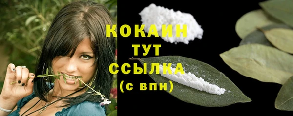 гашик Зерноград