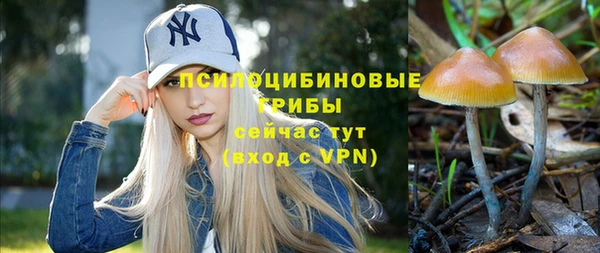 прущий лед Алексеевка