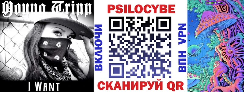 где можно купить наркотик  Чкаловск  ОМГ ОМГ онион  Псилоцибиновые грибы прущие грибы 